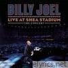 Billy Joel - Live At Shea Stadium - The Concert