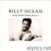 Billy Ocean - Tear Down These Walls