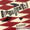 Birdmonster - No Midnight
