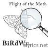 Birdwu - Flight of the Moth