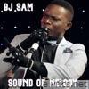 Bj Sam - Sound of Melody