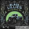 Black Lillies - Runaway Freeway Blues