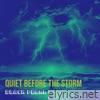 Quiet Before the Storm - Single (feat. Facundo Álvarez) - Single