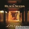 Black Seeds - Into the Dojo