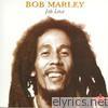 Bob Marley - Jah Love