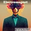 Electromagnet - Single