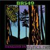 Br5-49 - Tangled in the Pines