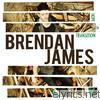 Brendan James - Hope in Transition