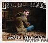 Brendan James - The Day Is Brave