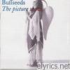 Buffseeds - The Picture Show (Bonus Track Version)