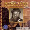 Burl Ives - A Twinkle In Your Eye
