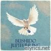 Bushido - Jupiterring - Single