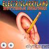 Butthole Surfers - Electriclarryland