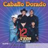 Caballo Dorado - Caballo Dorado: 12 Grandes Exitos, Vol. 2