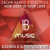 Calvin Harris - How Deep Is Your Love (feat. Desciples) [DJane Leenata & Slava Kol Remix] - Single