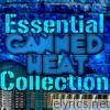 Essential Canned Heat Collection