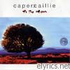 Capercaillie - To the Moon
