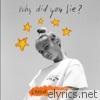 Why Did You Lie? - Single
