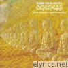 Carlos Santana - Oneness - Silver Dreams Golden Reality