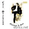 Cat Stevens - Matthew & Son (Bonus Track Version)