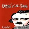 Orphan In the Storm