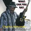 Charles Alexander - What Can You Say - Single