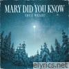 Mary Did You Know - Single