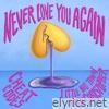 Never Love You Again (with Little Big Town & Bryn Christopher) - Single