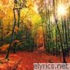 Autumn Changes - EP