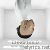 Chris Gold - One Night Love - Single