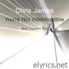 You're Not Indestructible (feat. Laurens Reij) - Single