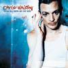 Chris Whitley - Perfect Day