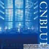 Cnblue - Live-2015 Arena Tour -Be a Supernova-