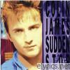 Colin James - Sudden Stop