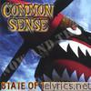 Common Sense - State of the Nation (Now & Then)