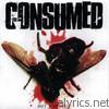 Consumed - Hit for Six