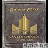 Corvus Corax - Cantus Buranus - Das Orgelwerk
