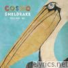 Cosmo Sheldrake - Pelicans We - EP