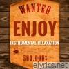 Enjoy Instrumental Relaxation