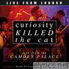 Curiosity Killed The Cat - Live From London (Live)