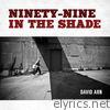 David Arn - Ninety-Nine in the Shade - Single