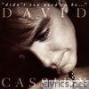 David Cassidy - Didn't You Used To Be...