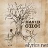 David Choi - Only You