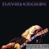 David Crosby - It's All Coming Back to Me Now... (Live)