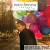 David Fonseca - Seasons - Falling