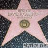 David Hasselhoff - Best of David Hasselhoff - Sings America