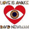 Love is Awake