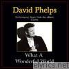 David Phelps - What a Wonderful World (Performance Tracks) - EP