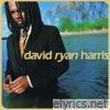 David Ryan Harris