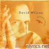 David Wilcox - Turning Point